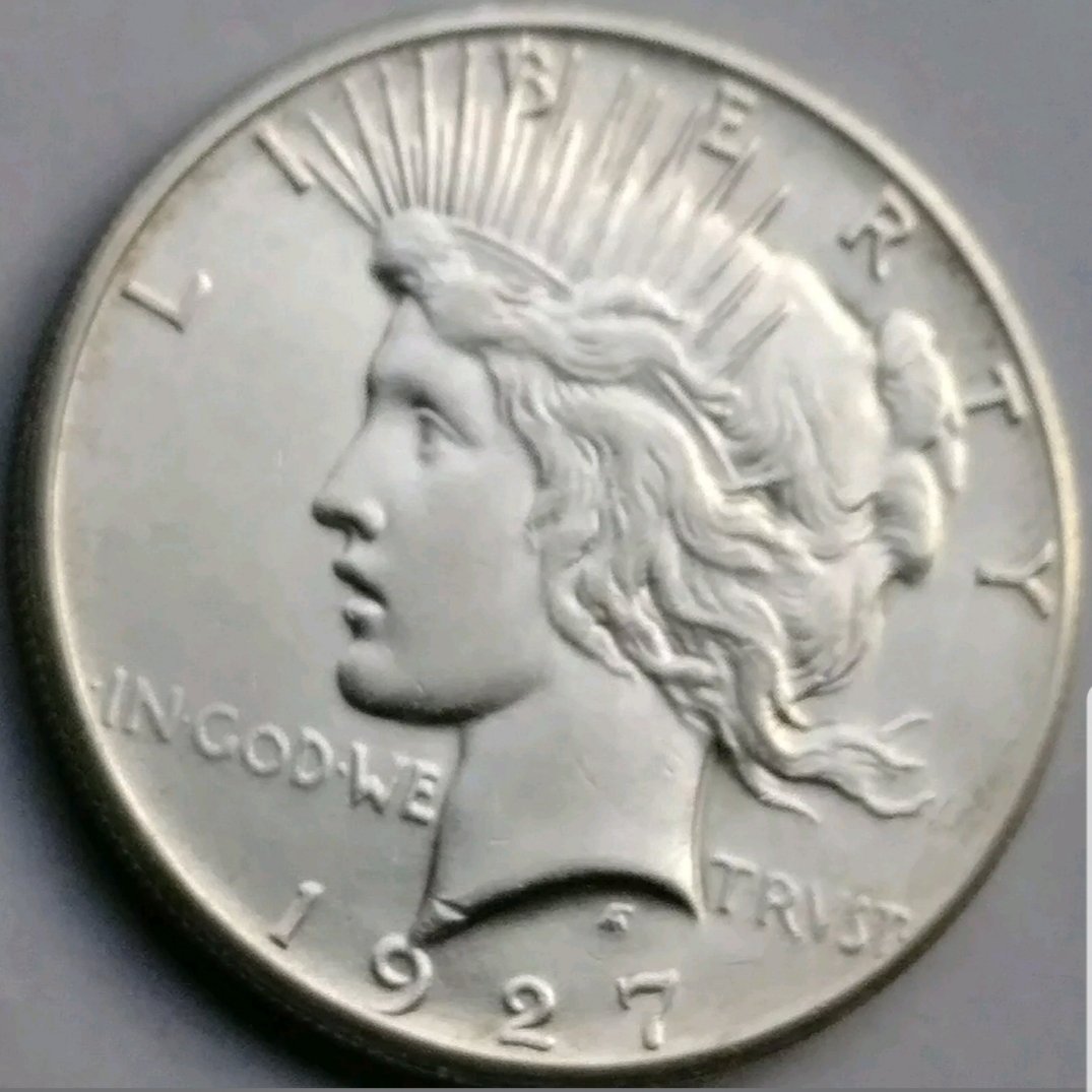 Carbon-Black-Marks-Effect-On-Grading-Peace-Dollar